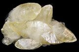 Calcite Crystal Cluster on Galena Matrix - Missouri #43841-1